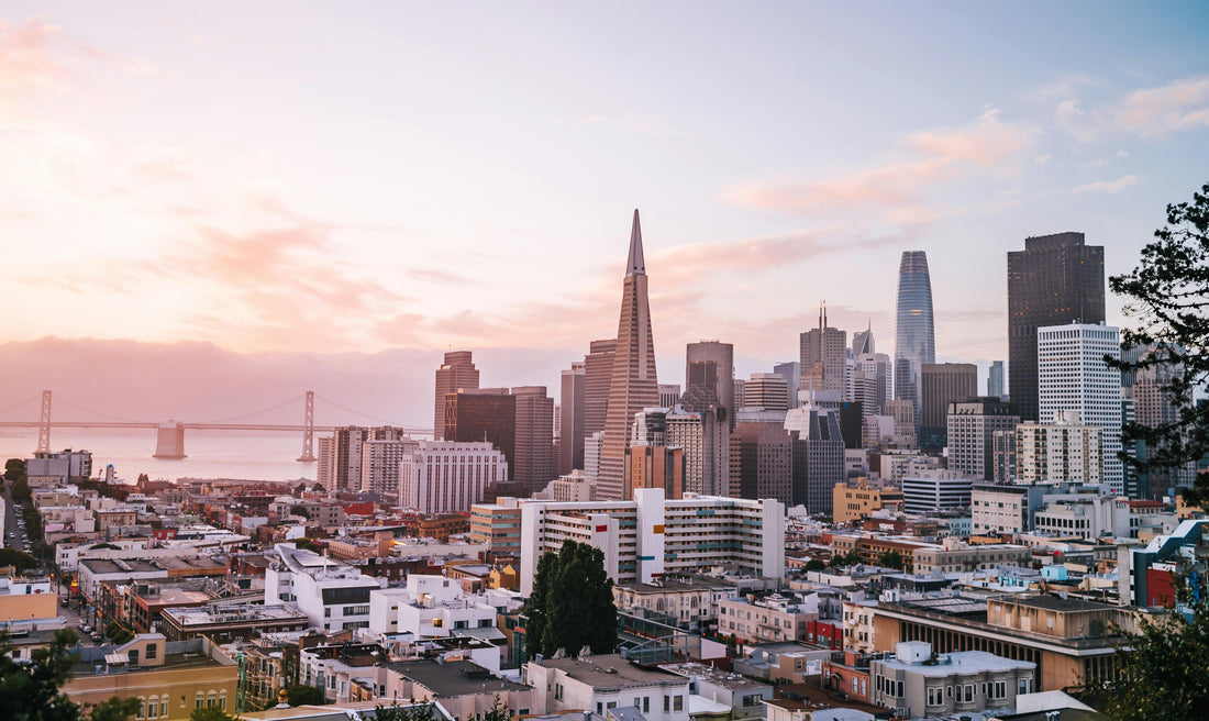 The Complete San Francisco Neighborhood Guide: Explore the City’s Diverse Areas